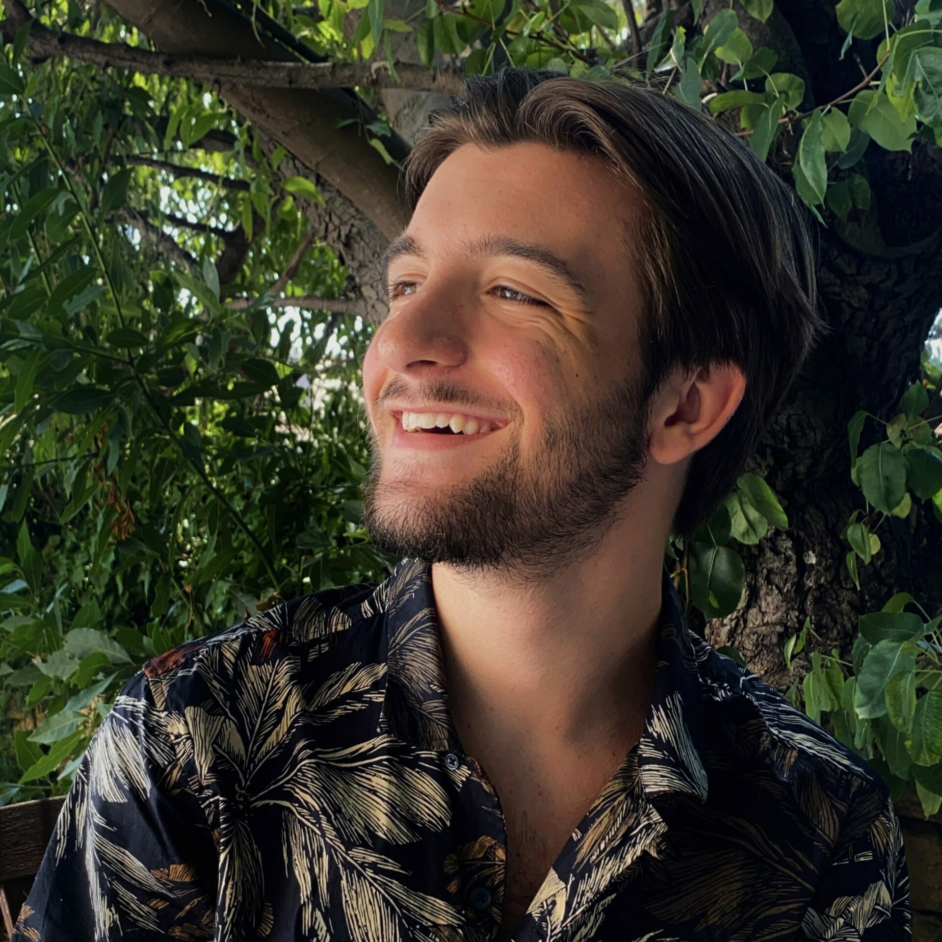 Flavio Ésotérisme | Tirage de Cartes • Spiritualité