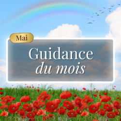 Guidance du Mois